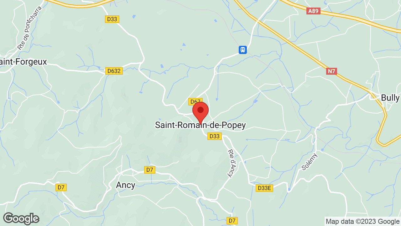 Google map