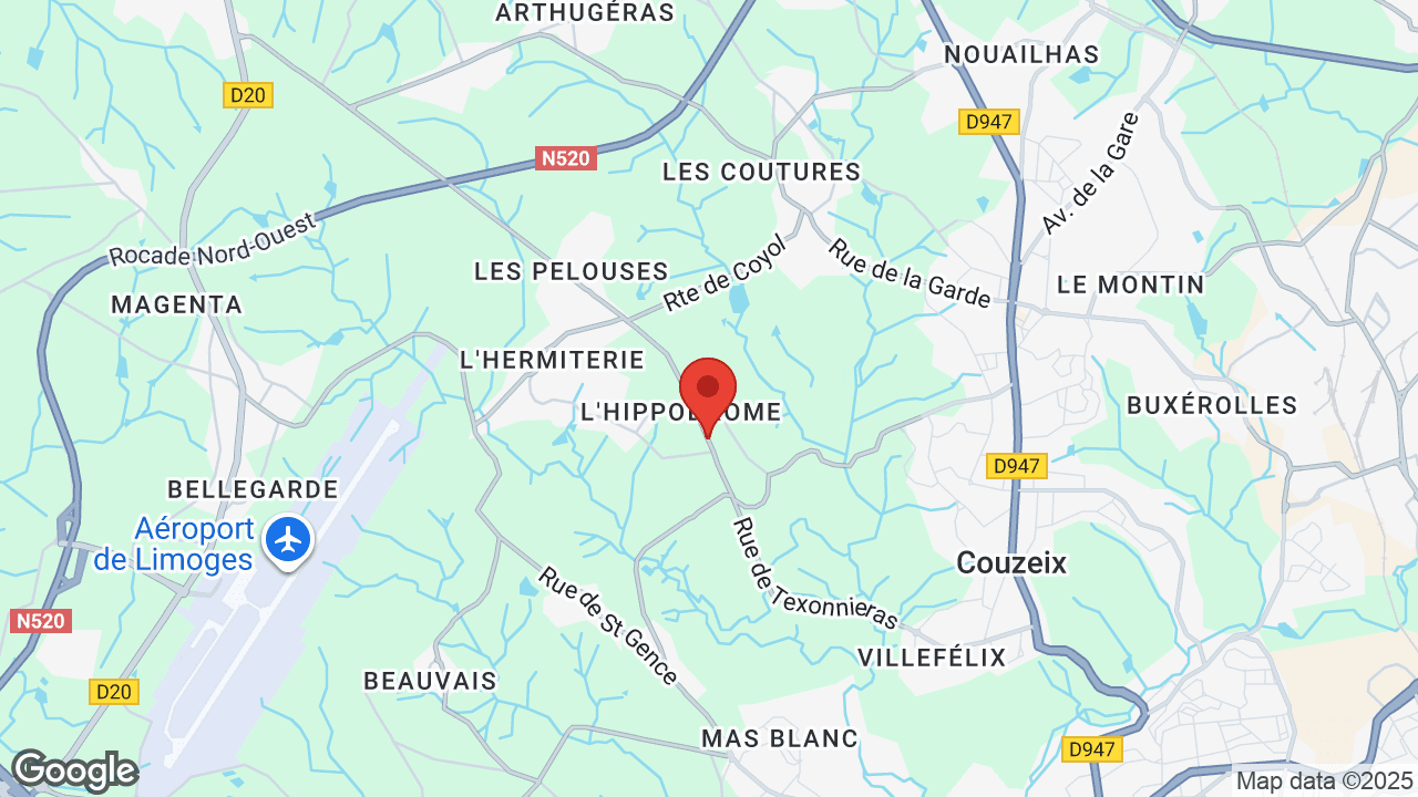 Google map