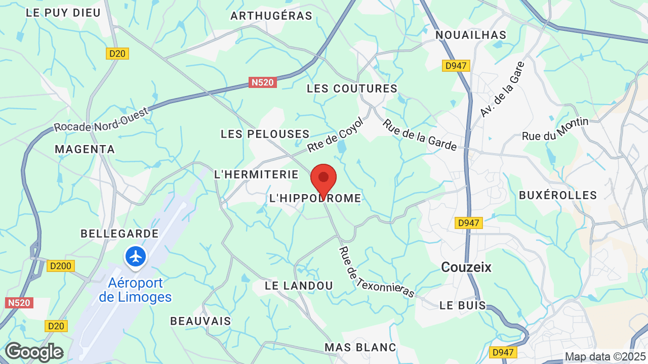 Google map