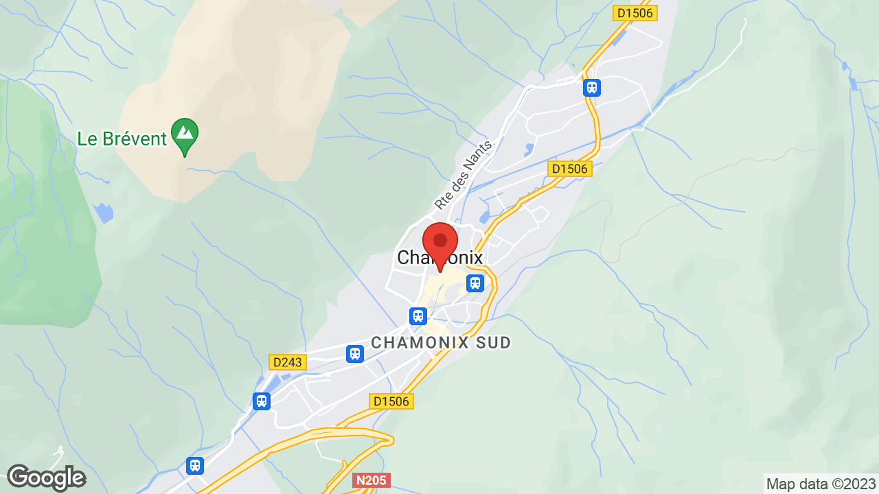 Google map