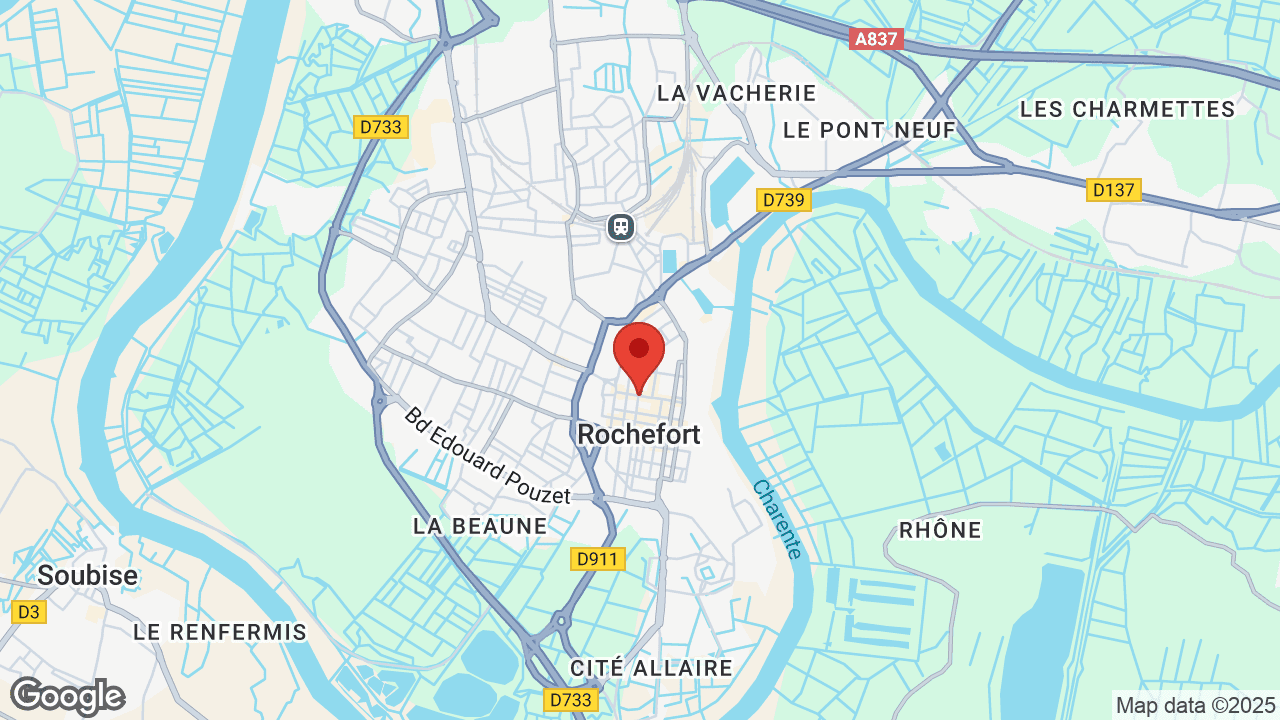 Google map