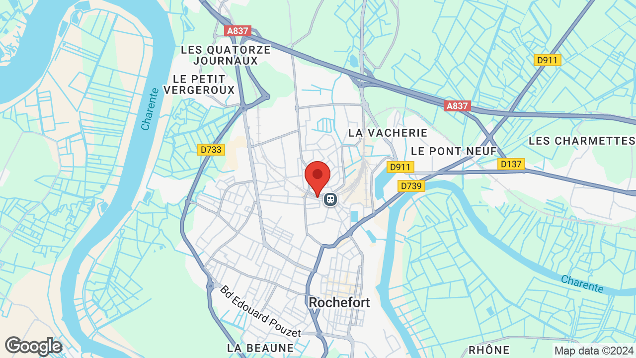 Google map