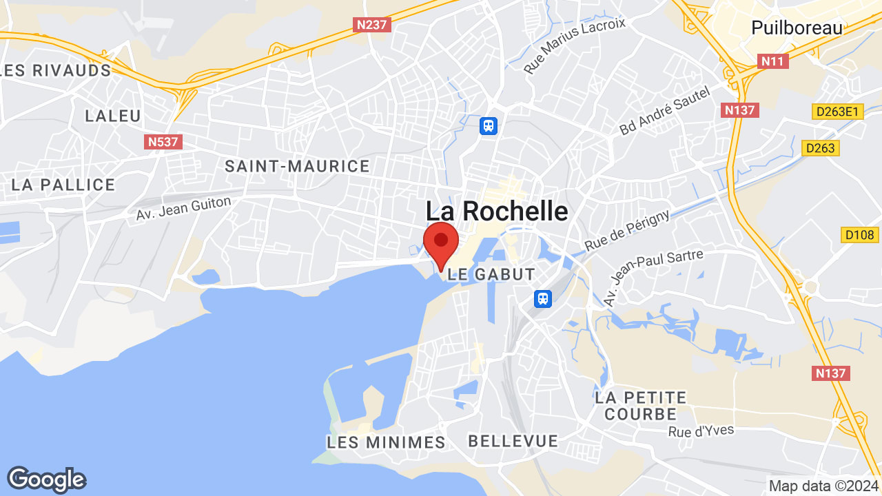Google map