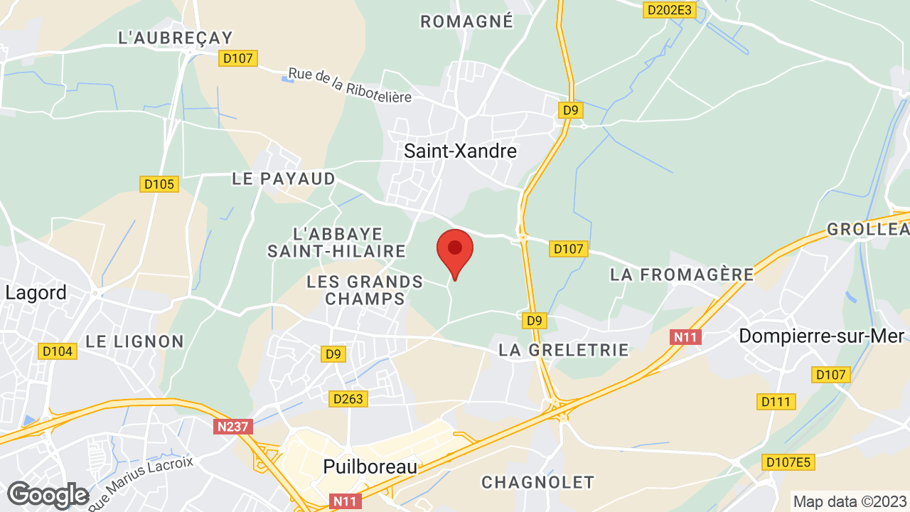 Google map