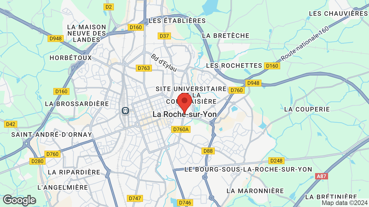 Google map