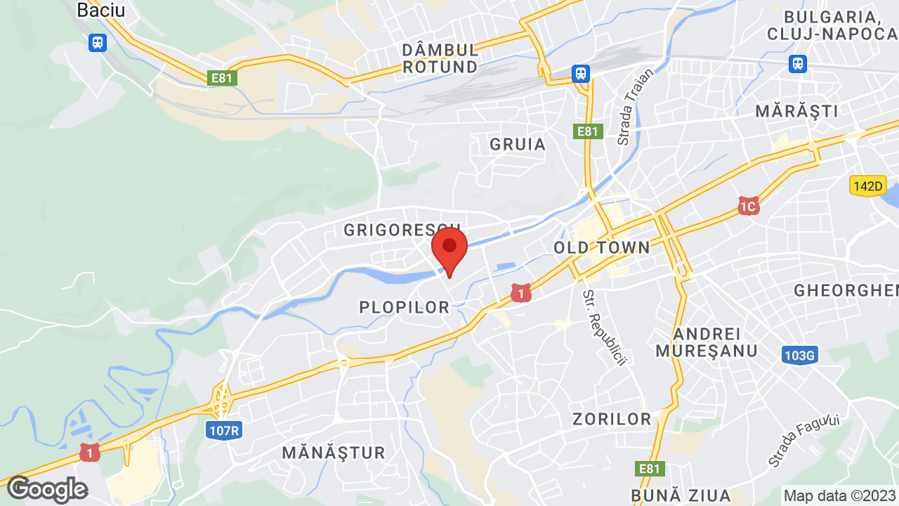 Google map