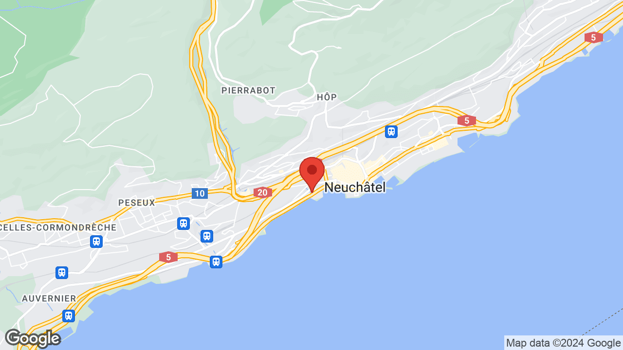 Google map