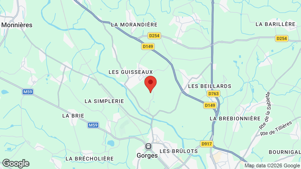 Google map