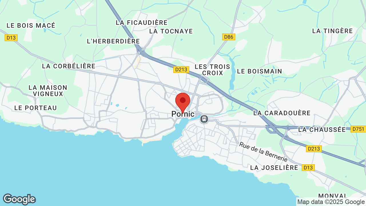 Google map