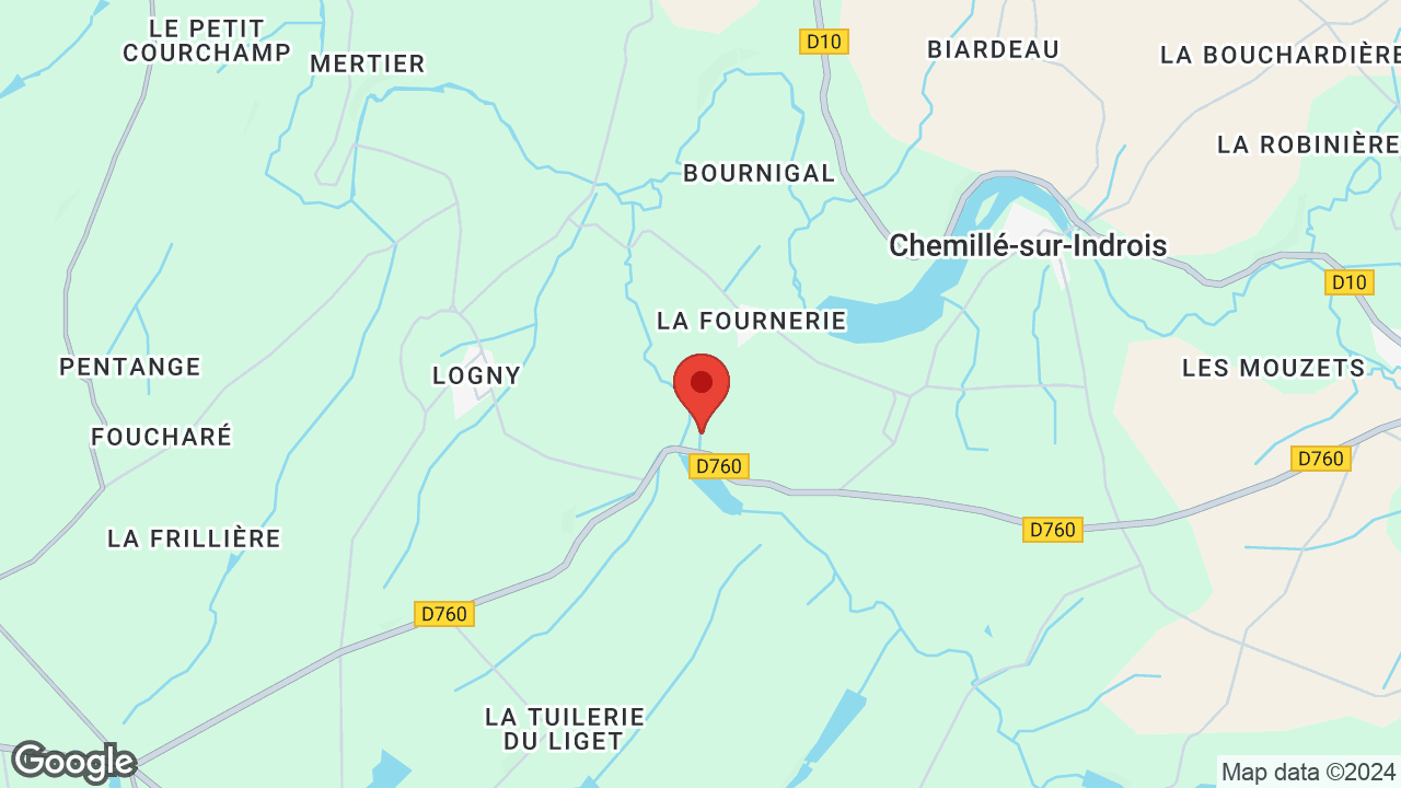Google map