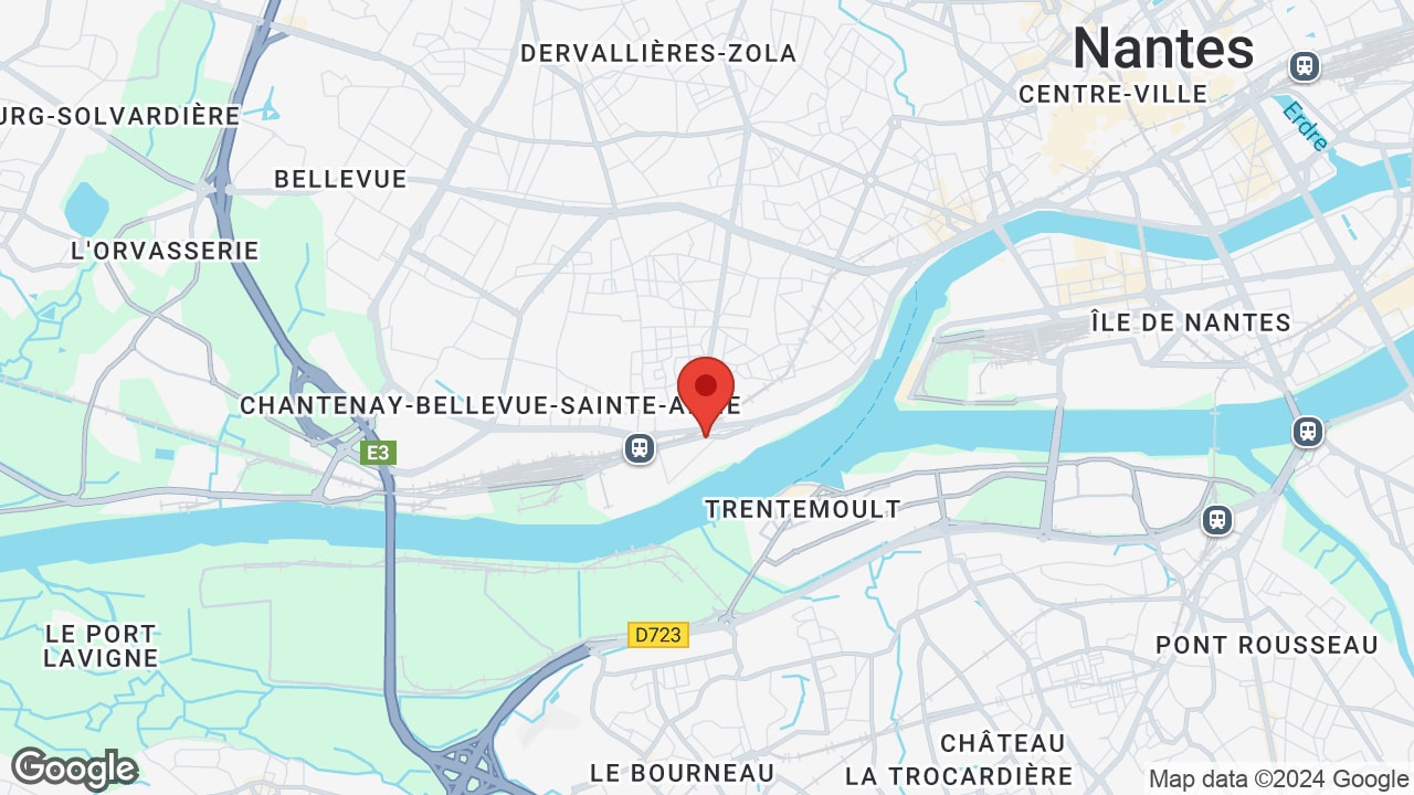 Google map