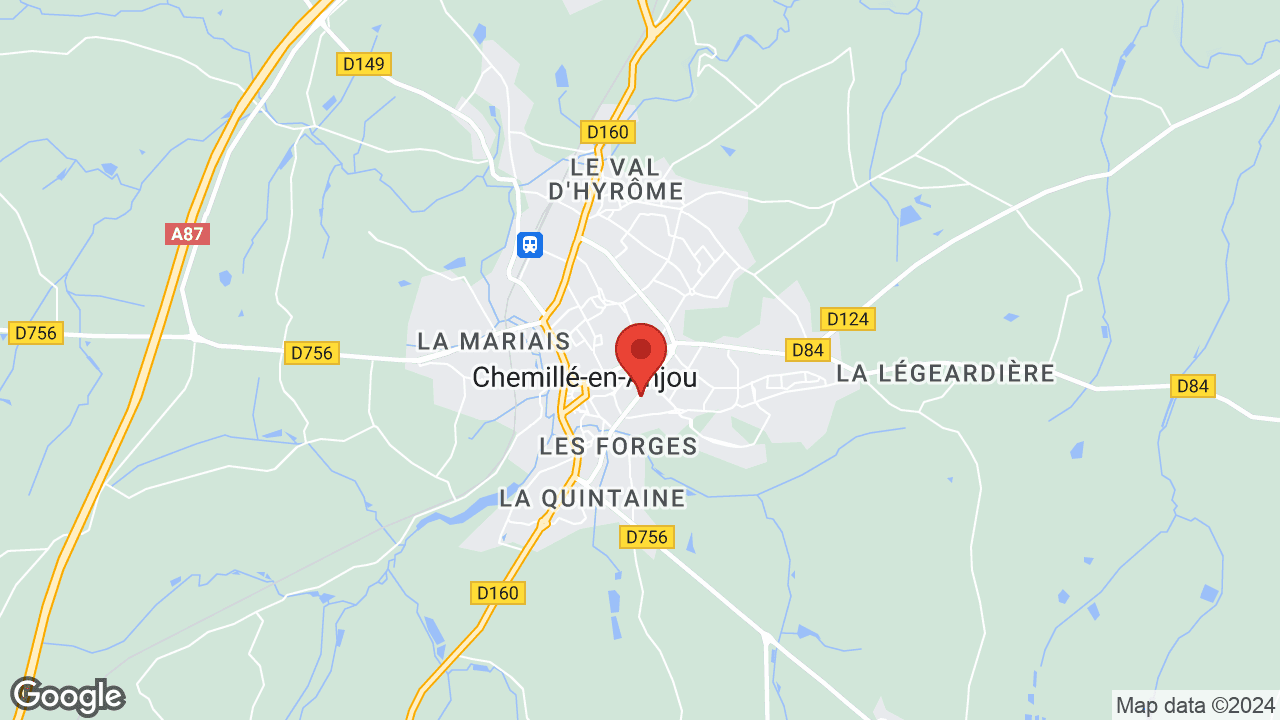 Google map