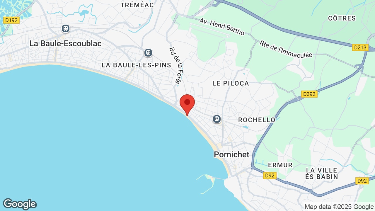 Google map