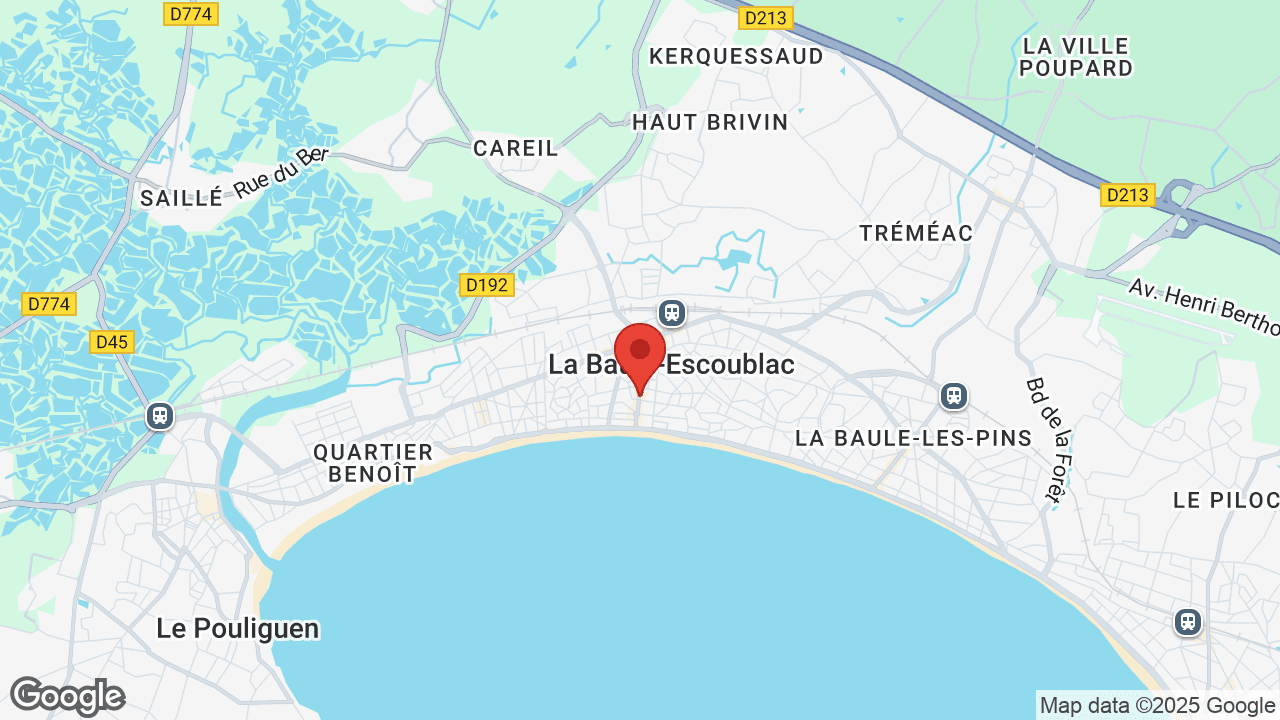 Google map