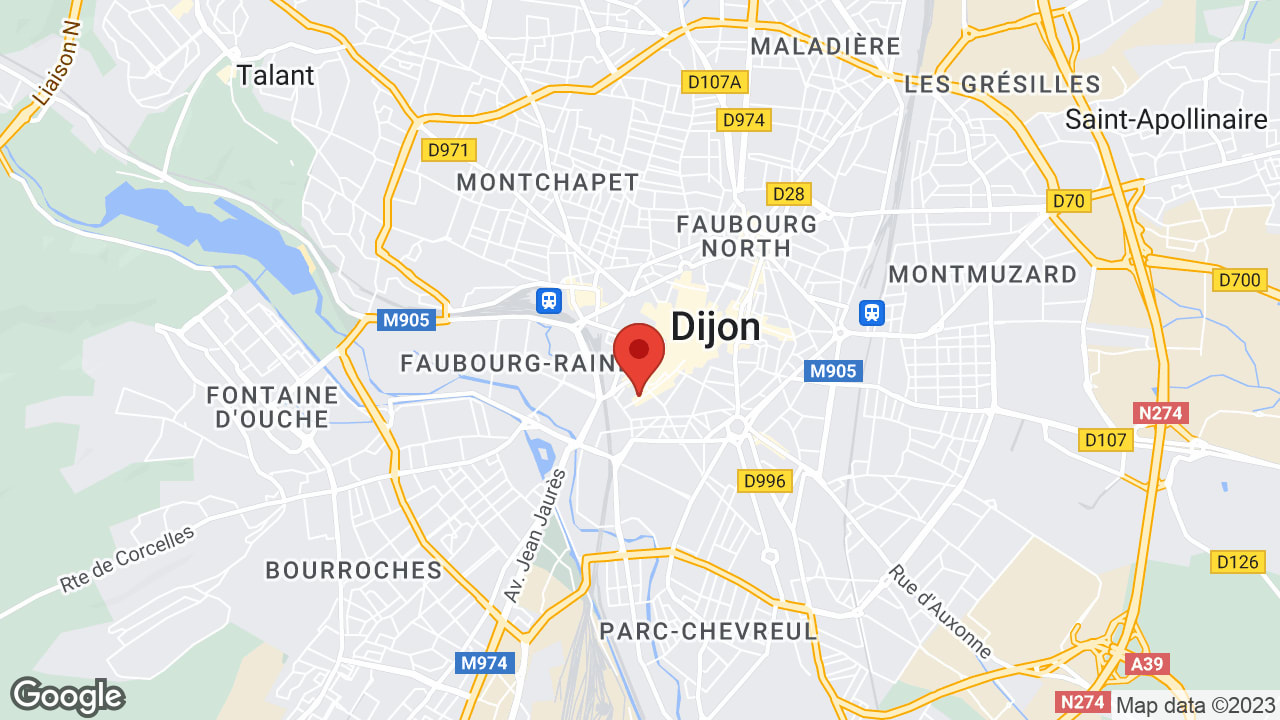 Google map
