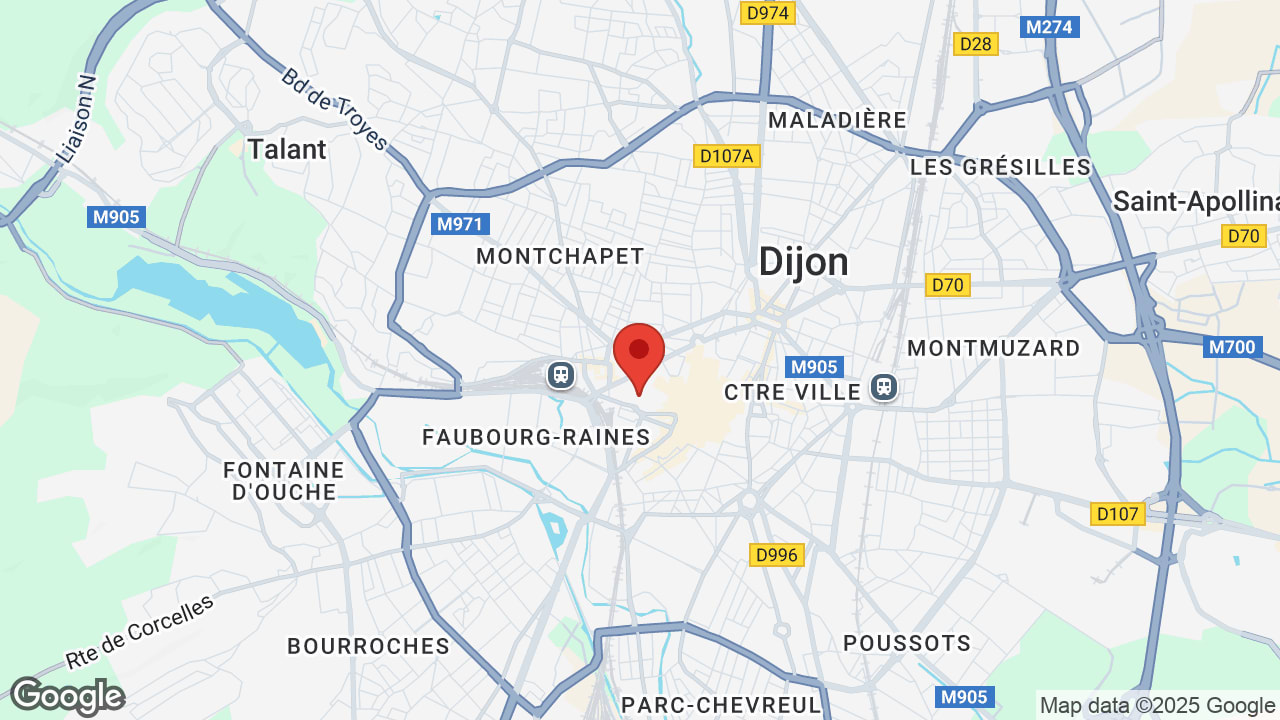 Google map