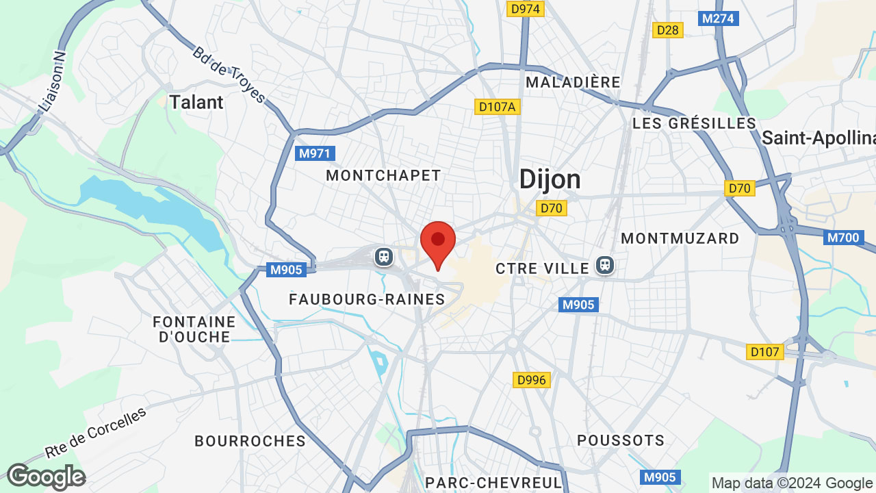 Google map