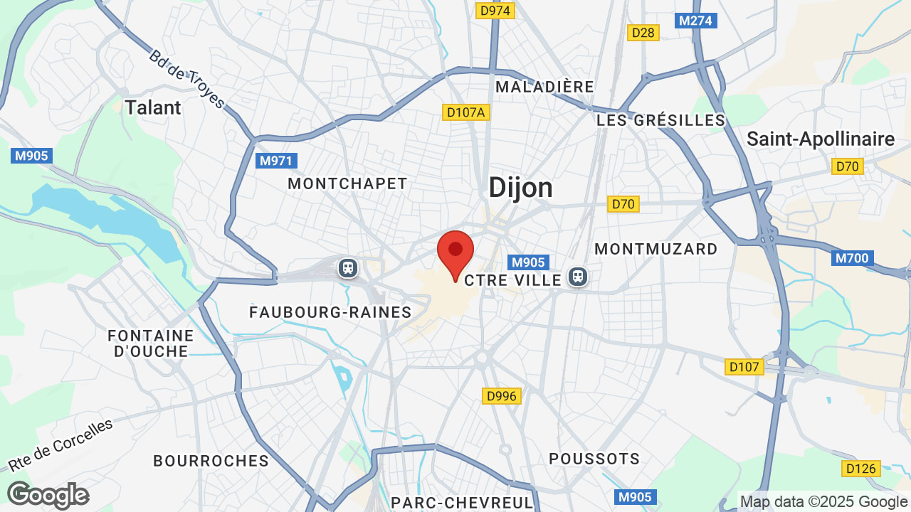 Google map