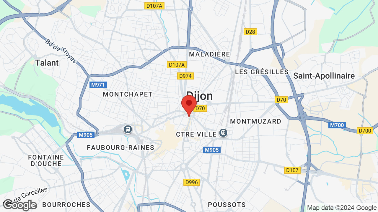 Google map