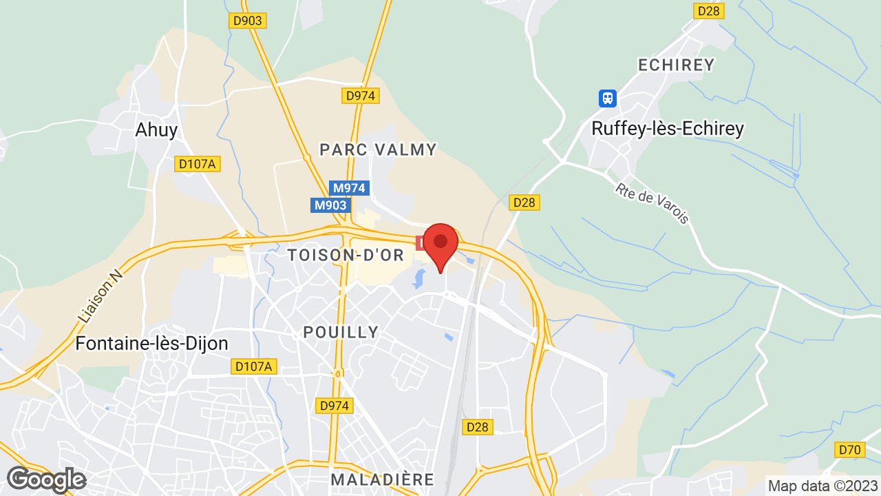 Google map