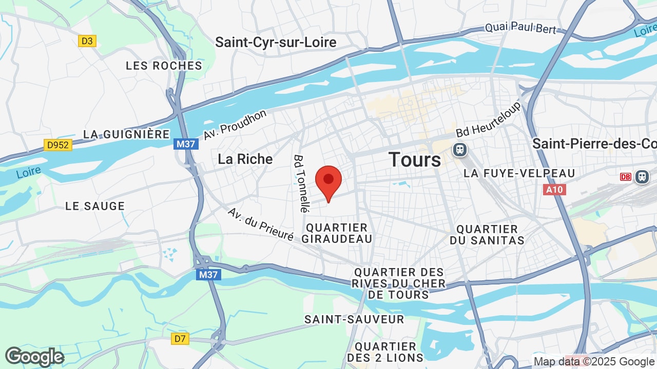 Google map