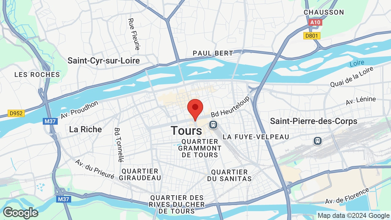 Google map