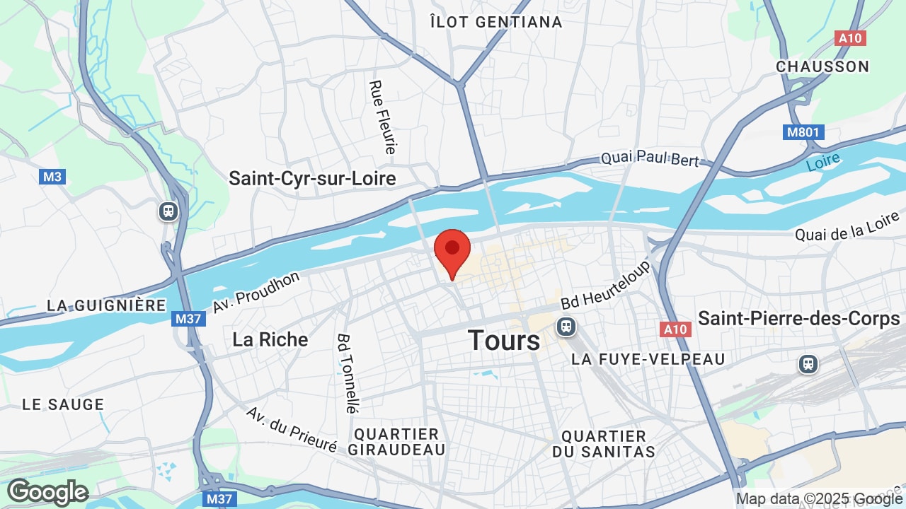 Google map