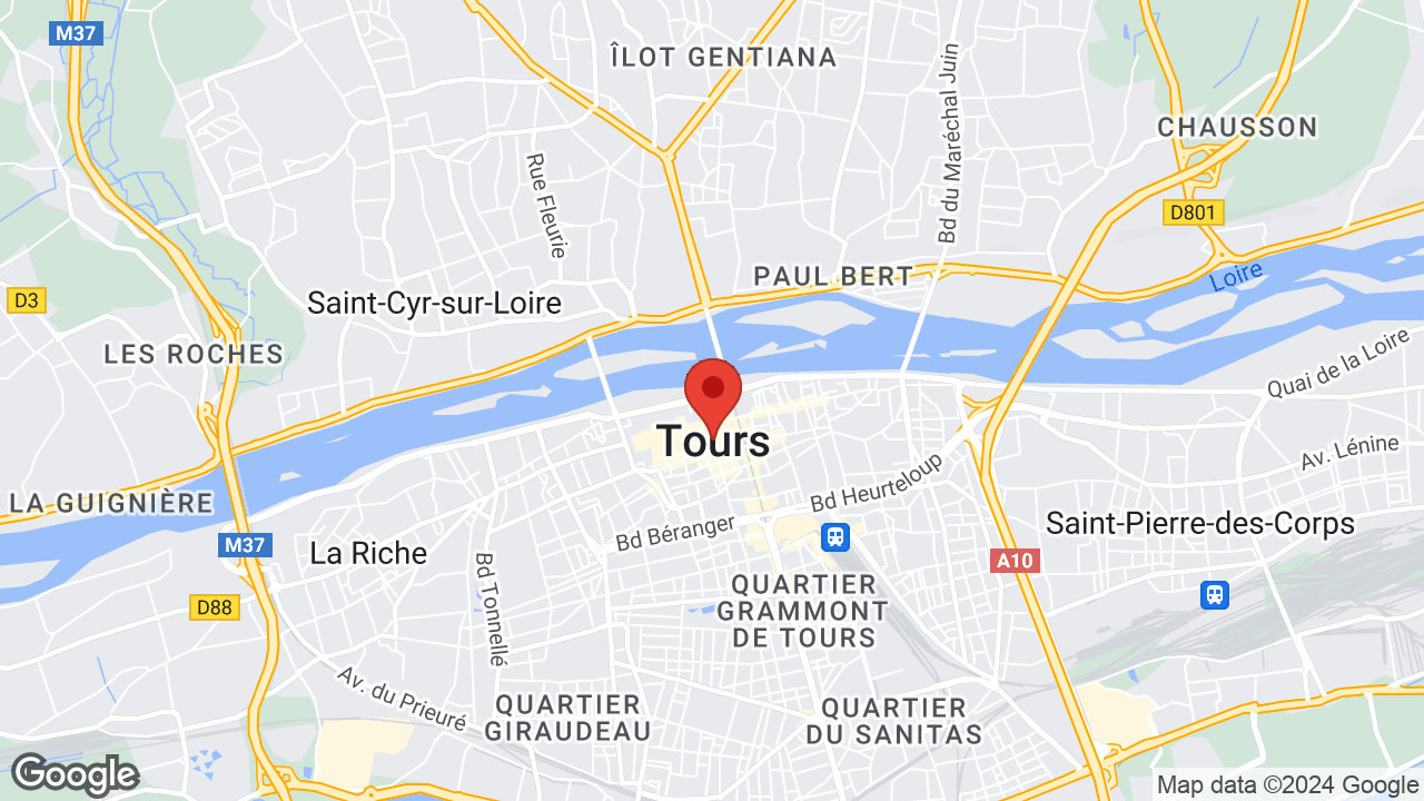 Google map
