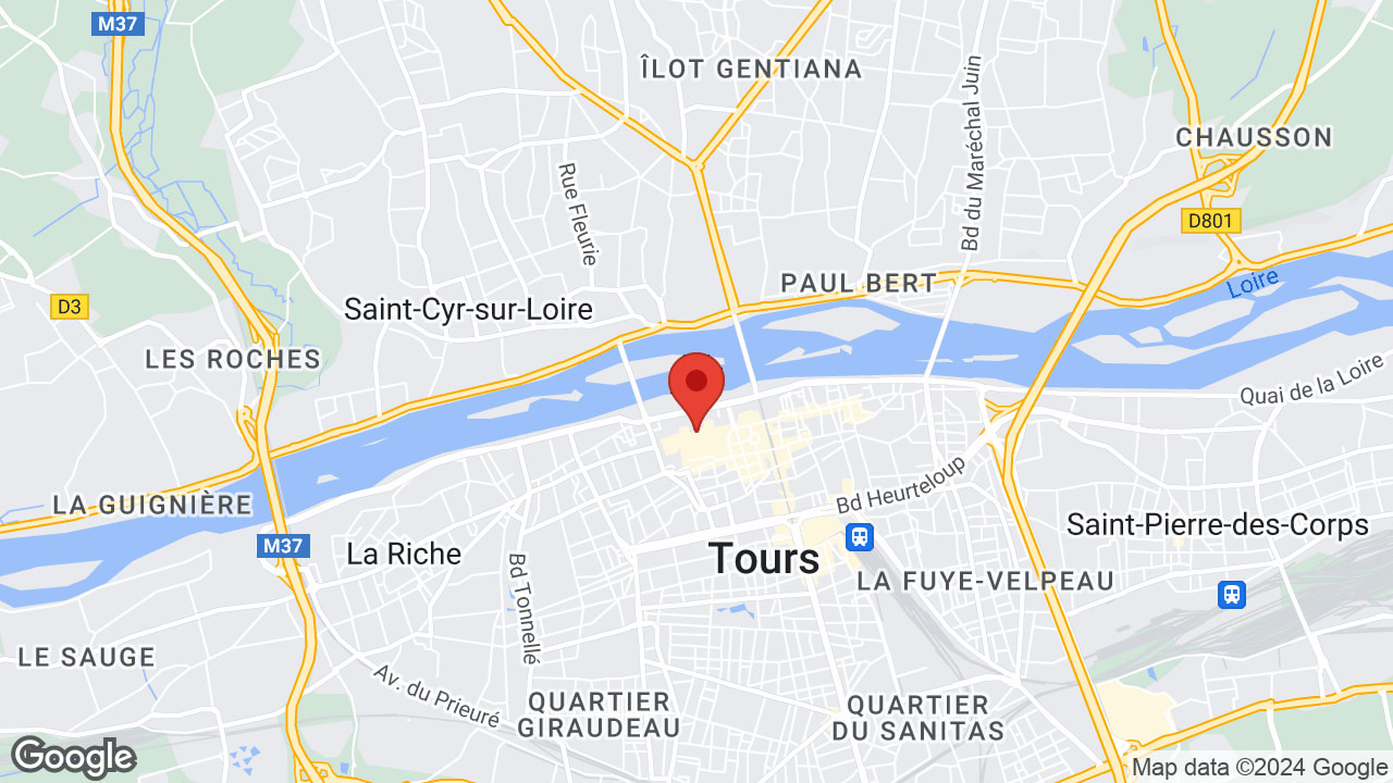 Google map