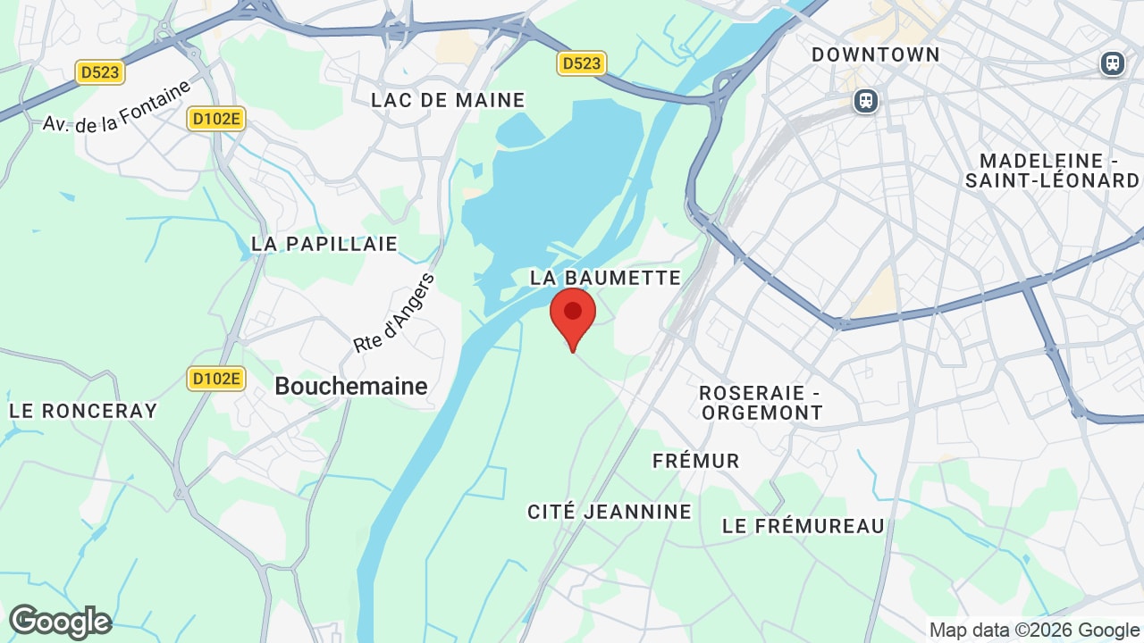Google map