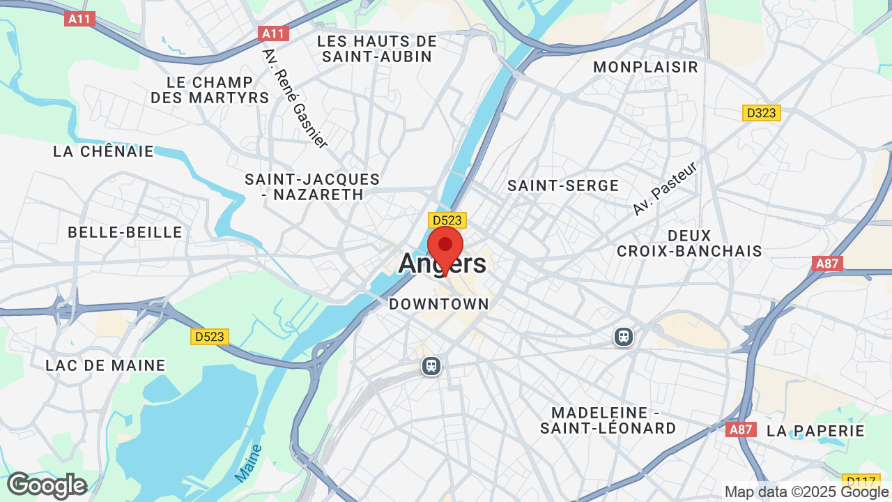 Google map