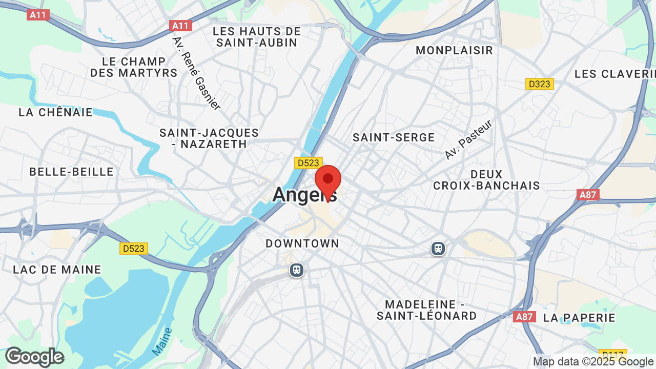 Google map