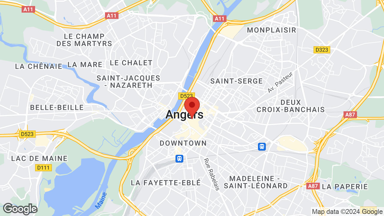 Google map