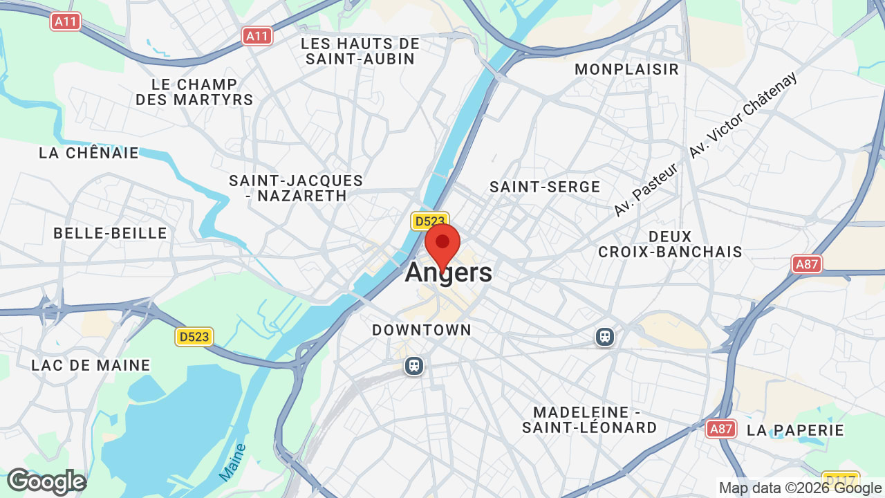 Google map