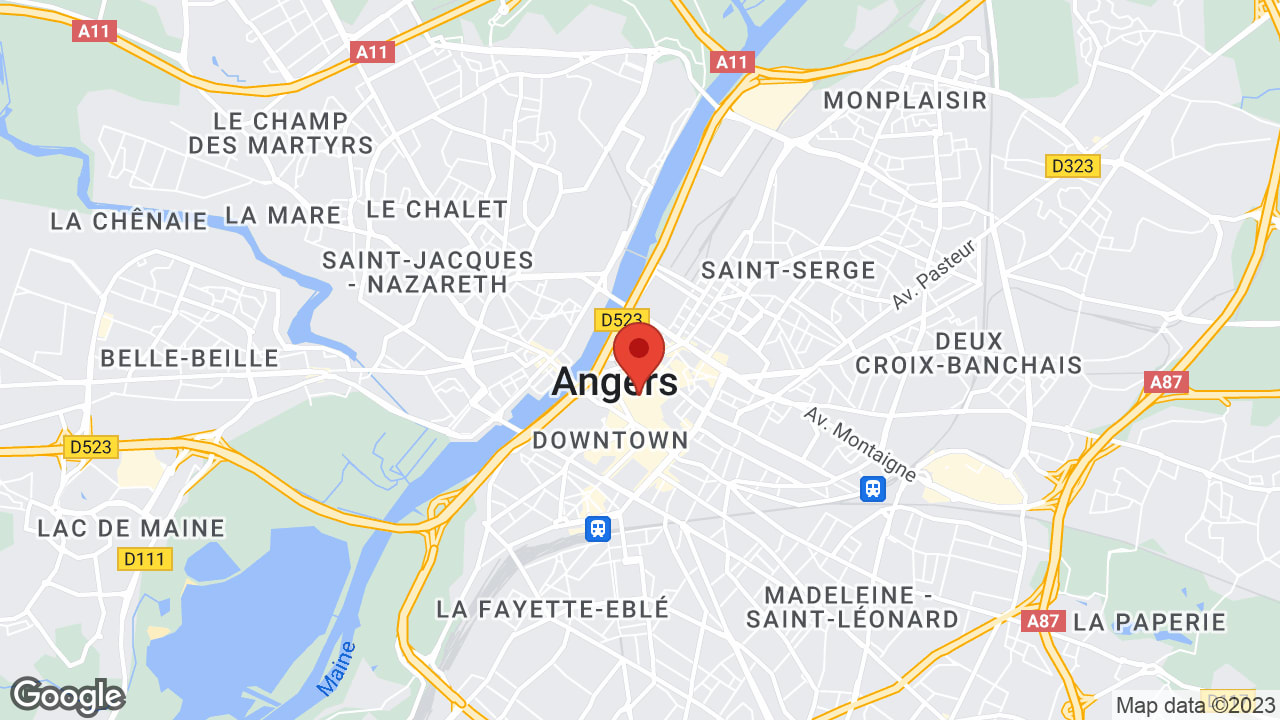 Google map