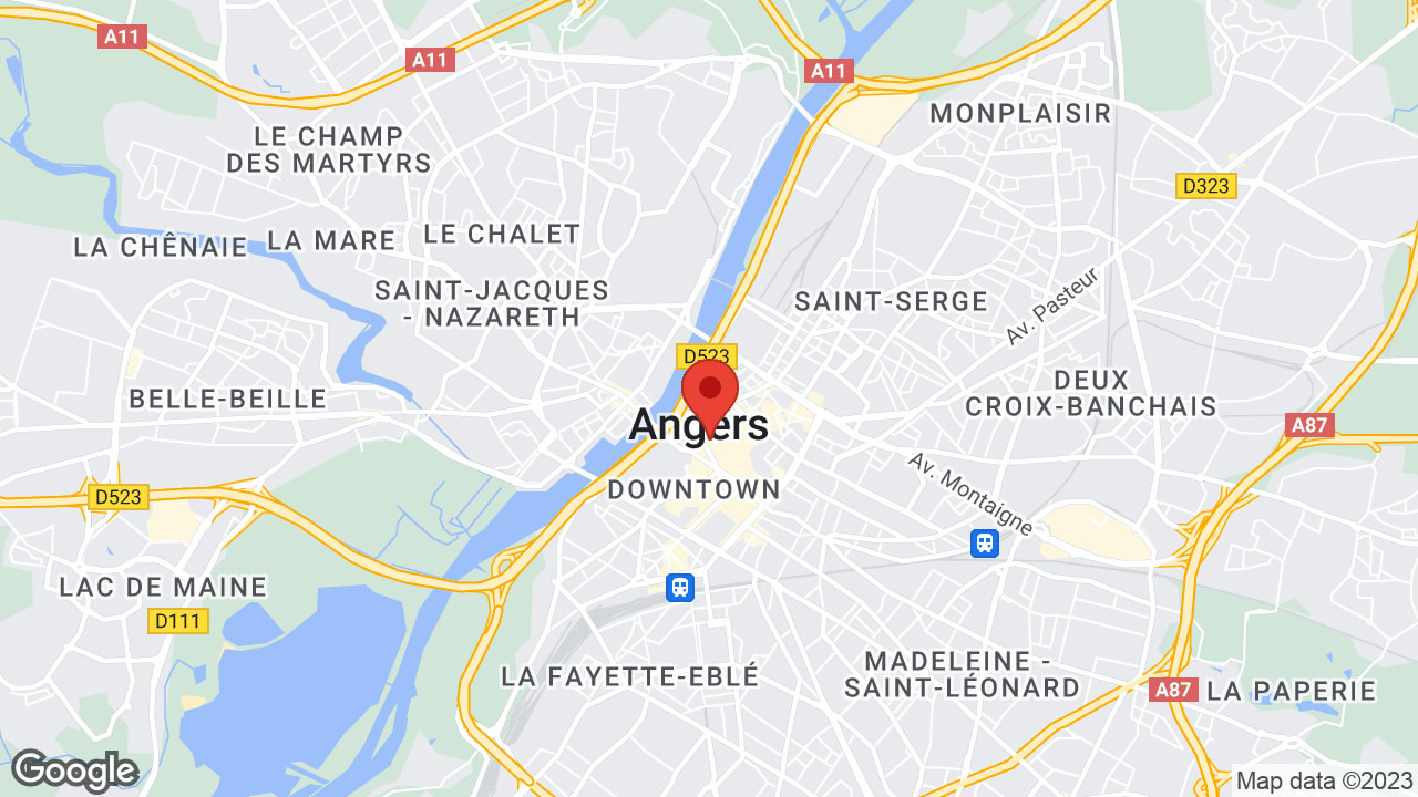 Google map