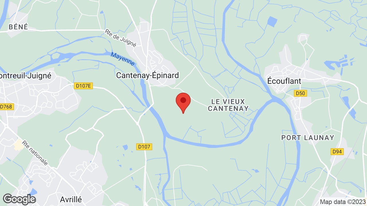 Google map