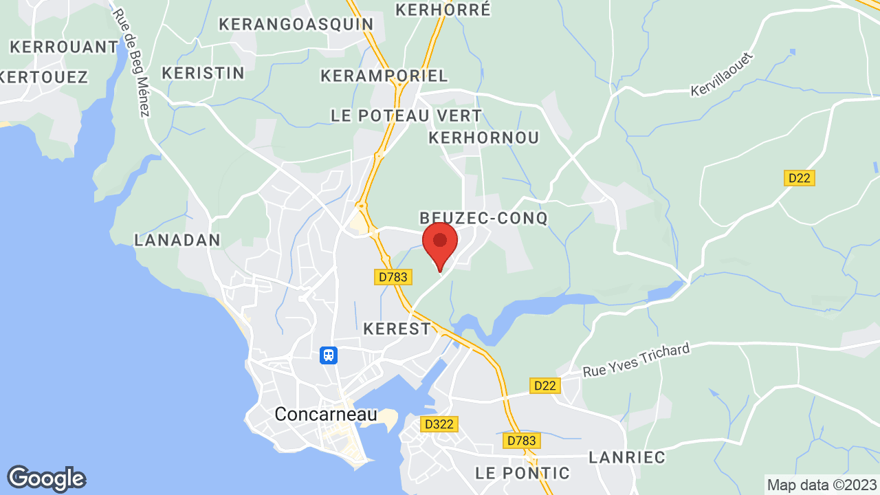 Google map