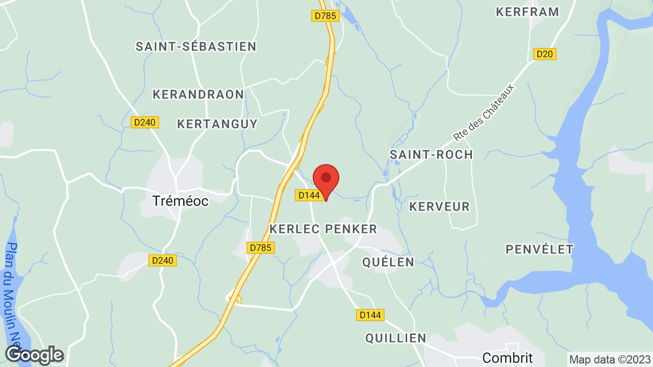 Google map