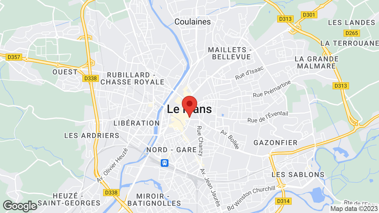 Google map