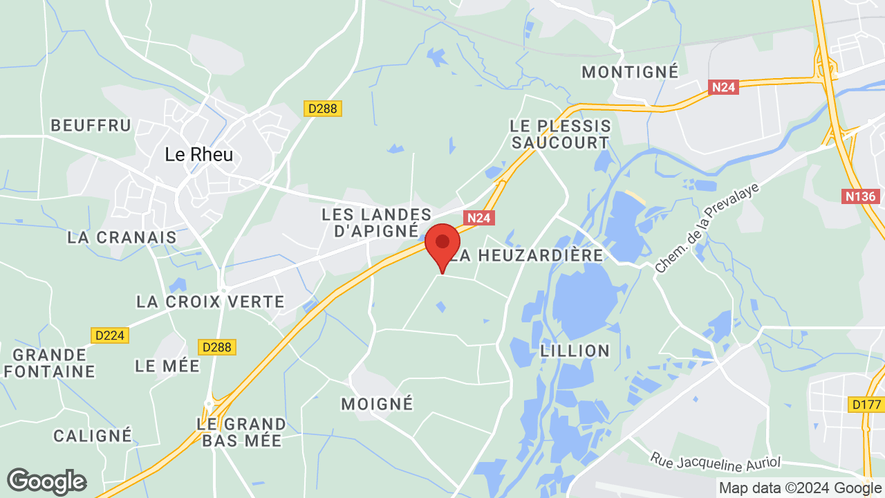 Google map