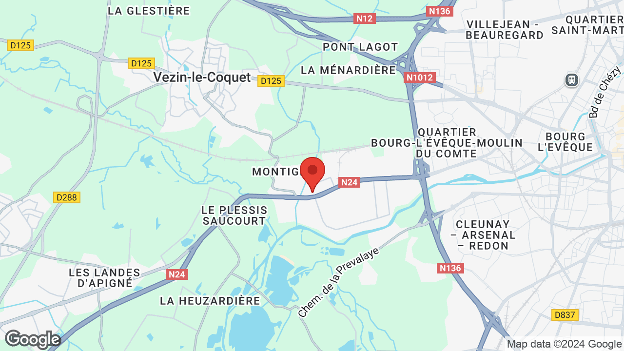 Google map
