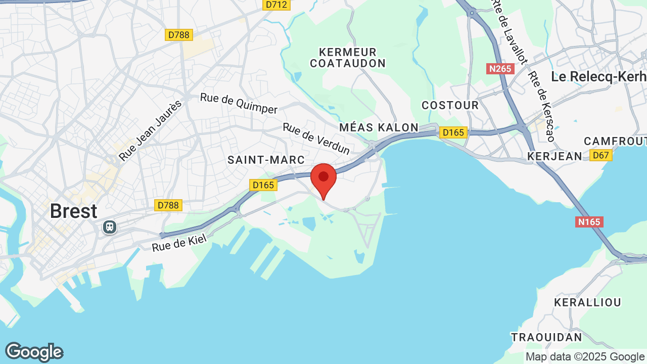 Google map