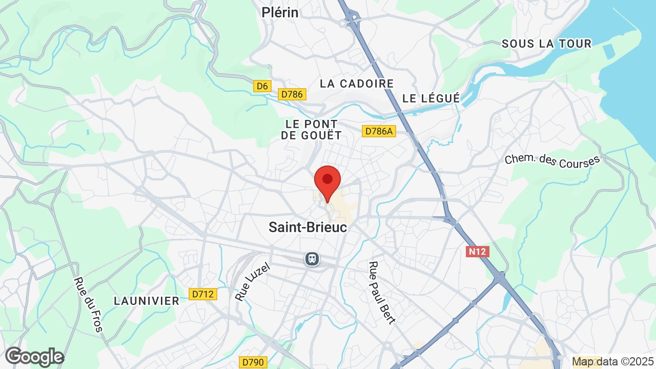 Google map
