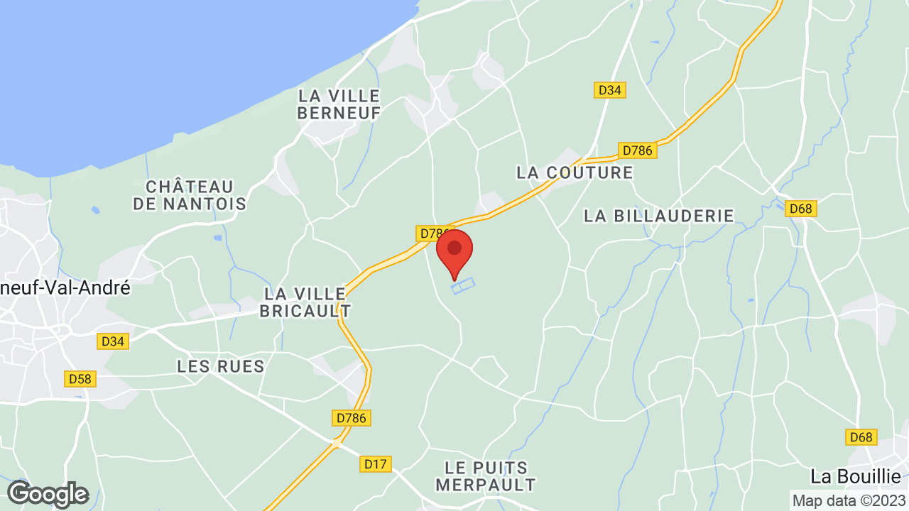 Google map
