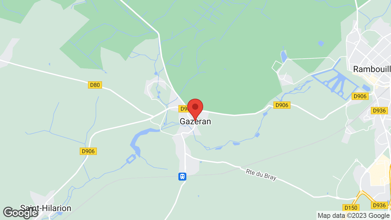 Google map