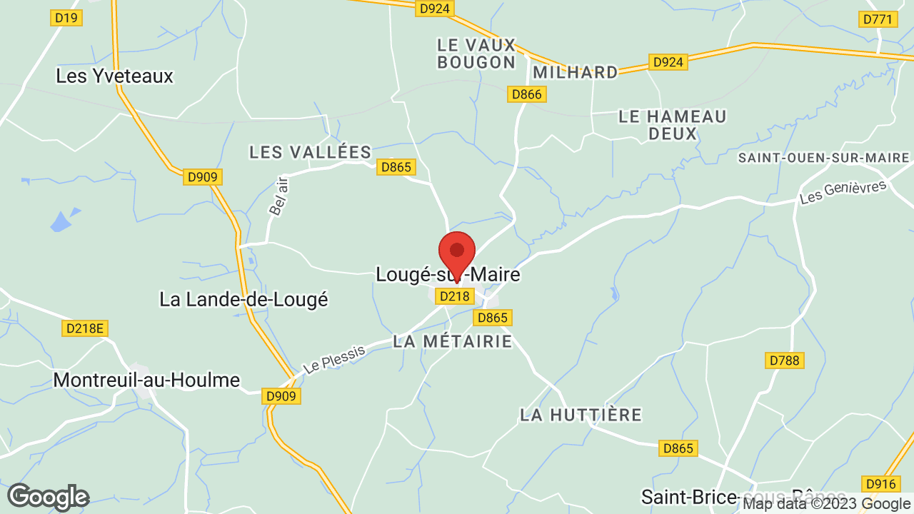 Google map