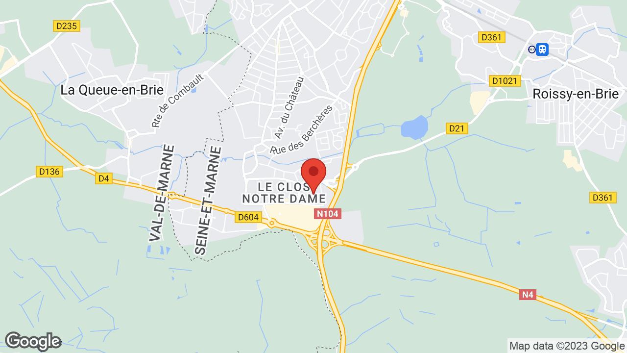 Google map