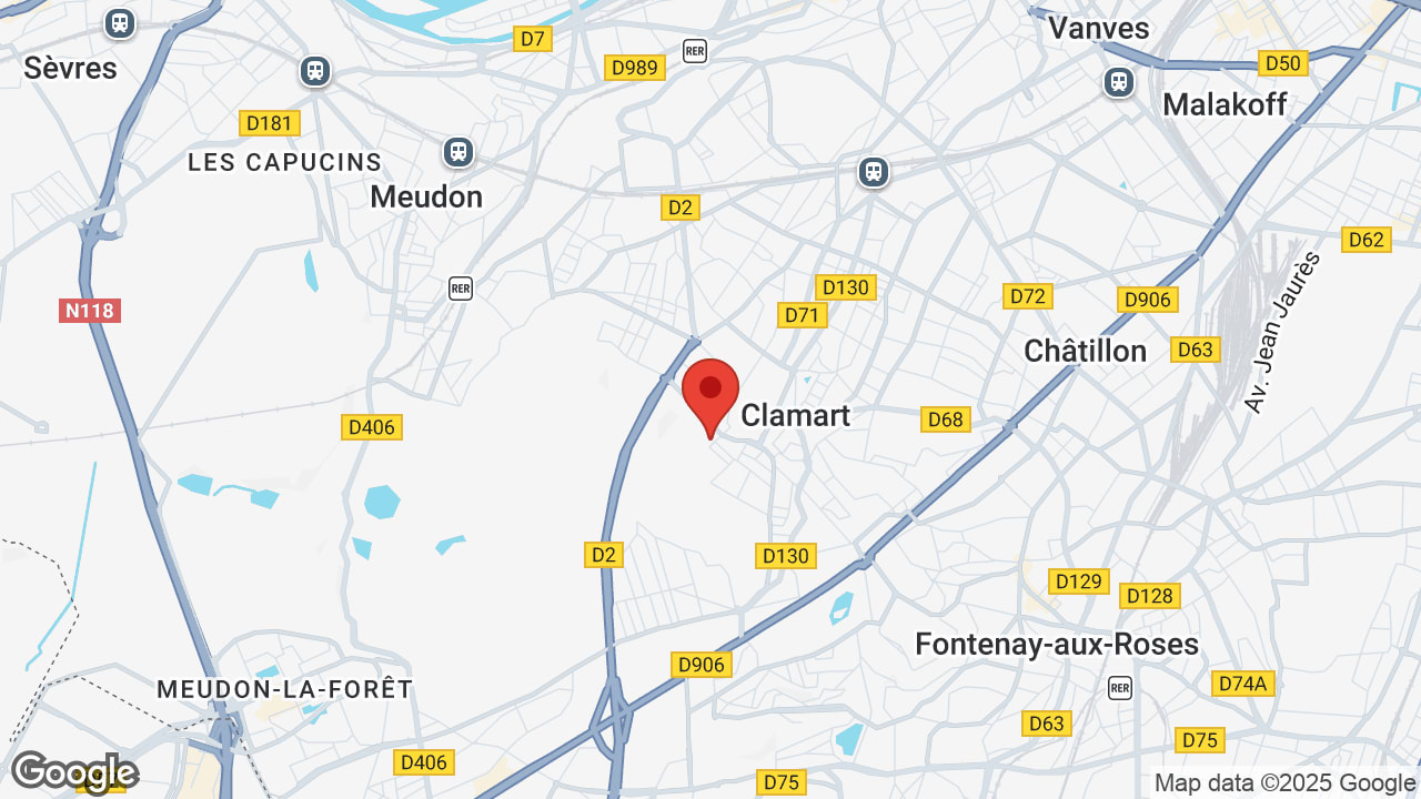 Google map