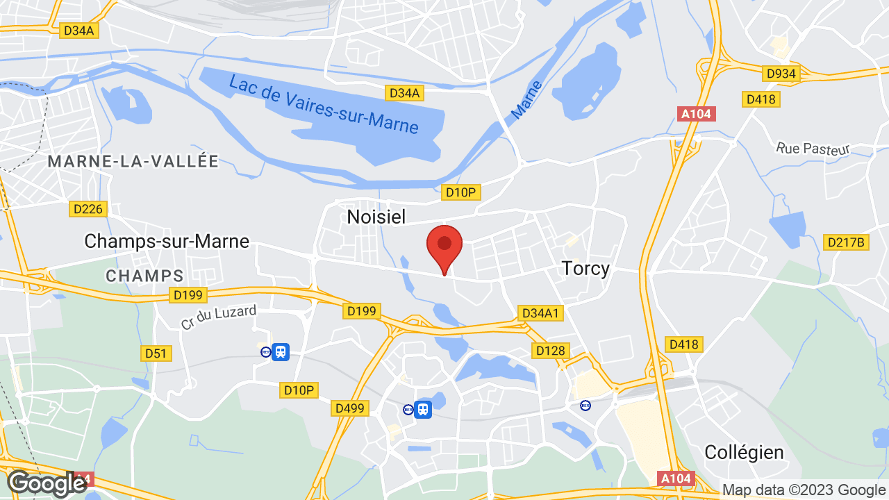Google map